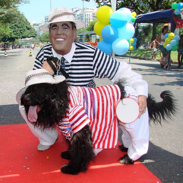 Carnaval pra cachorro no Rio
